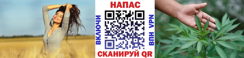 как найти закладки  Бежецк  Бошки Шишки тримм 